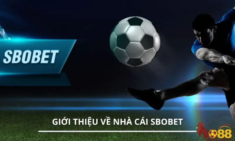 Warungharta là gì?
