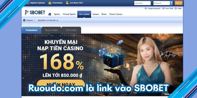 Ruoudo.com là link vào SBOBET