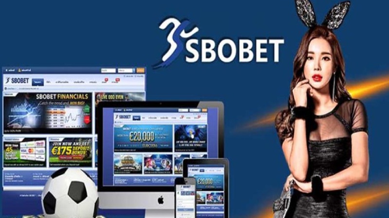 Lợi ích khi trải nghiệm tại Sbovui.com